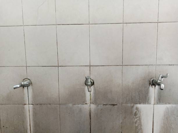 Best Water damage cleanup near me  in Stonebridge, NJ