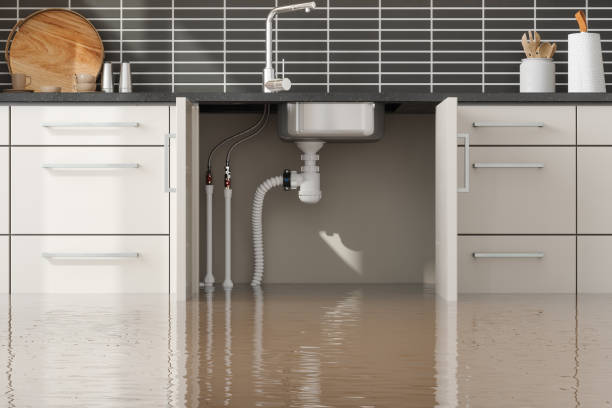 Best Fire Damage Restoration  in Stonebridge, NJ