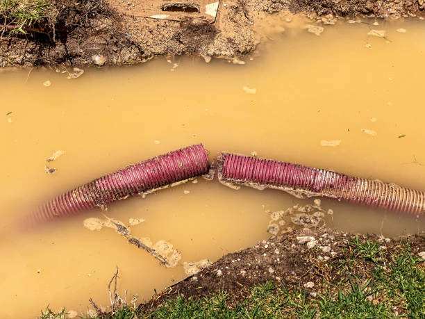 Best Flood restoration services  in Stonebridge, NJ