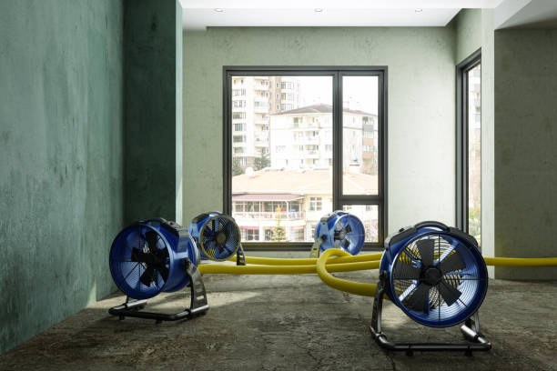 Best Water damage restoration near me  in Stonebridge, NJ